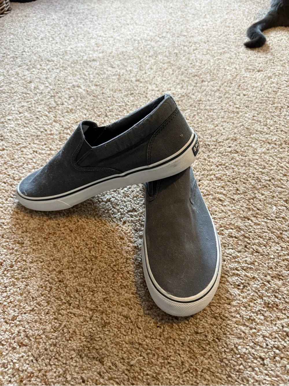 Sperry loafers. Gray. Good used condition. Men’s size 12